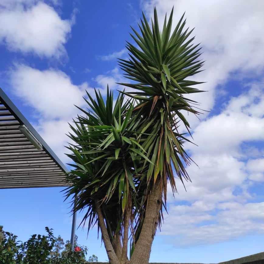 Casas Do Forneiro A Casa Para 2 Pessoas นอร์เดสติ ภายนอก รูปภาพ